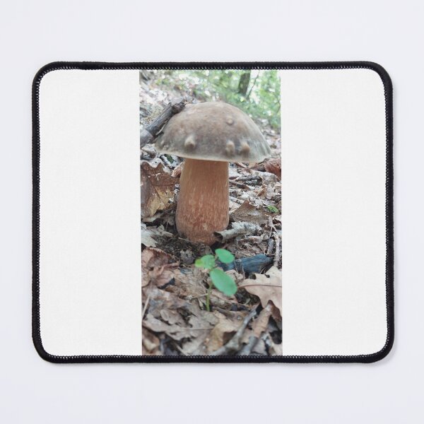 Item preview, Fungus, Hribe,Ciuperci ,Boletus designed and sold by marcelcluj.