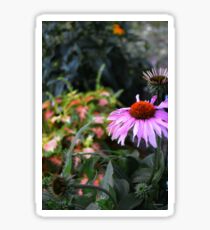Purple Coneflower Sticker