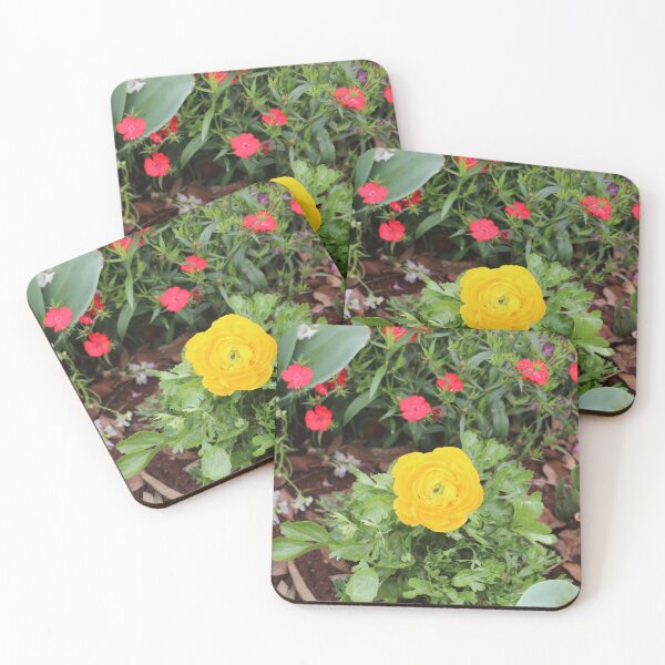 Item preview, Yellow Ranunculus designed and sold by STHogan2.
