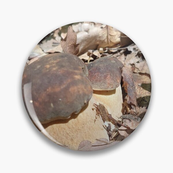 Item preview, Fungus, Boletus, Hrib, Ciuperca designed and sold by marcelcluj.