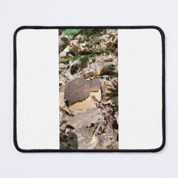 Item preview, Fungus, Boletus, Hrib, Ciuperca designed and sold by marcelcluj.