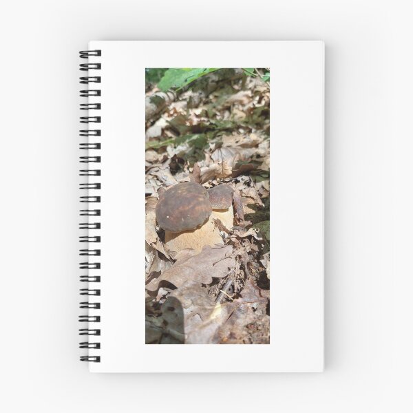 Item preview, Fungus, Boletus, Hrib, Ciuperca designed and sold by marcelcluj.