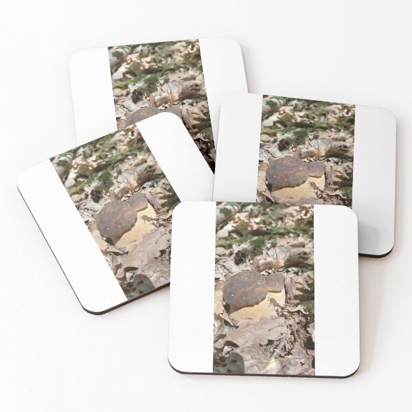 Item preview, Fungus, Boletus, Hrib, Ciuperca designed and sold by marcelcluj.