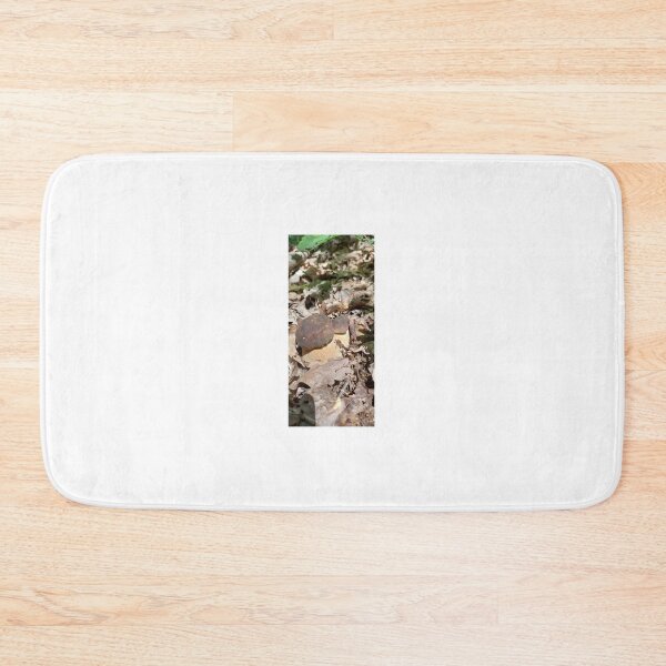 Item preview, Fungus, Boletus, Hrib, Ciuperca designed and sold by marcelcluj.