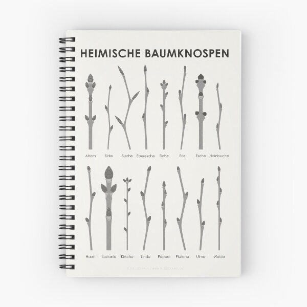 Item preview, Native tree buds and tree shoots infographic / chart (German) designed and sold by Iris Luckhaus.