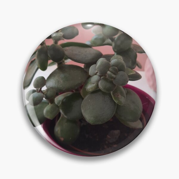 Item preview, money tree designed and sold by barbich.