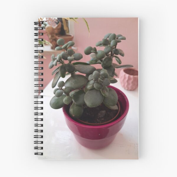 Item preview, money tree designed and sold by barbich.
