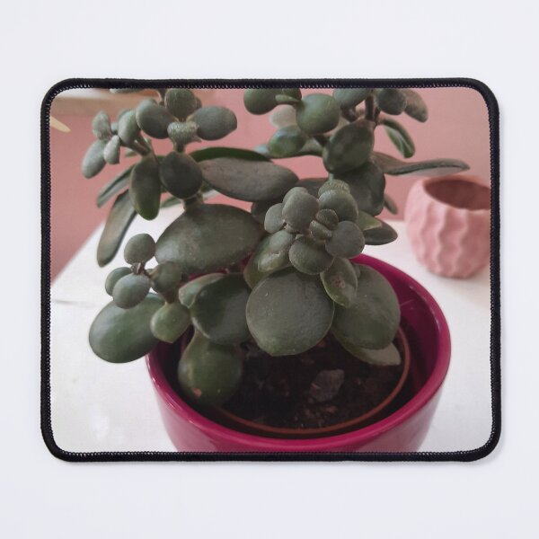Item preview, money tree designed and sold by barbich.