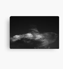 indifferent Canvas Print