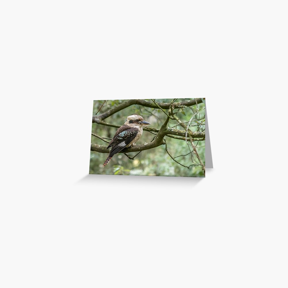 Item preview, Greeting Card designed and sold by barrycallister.