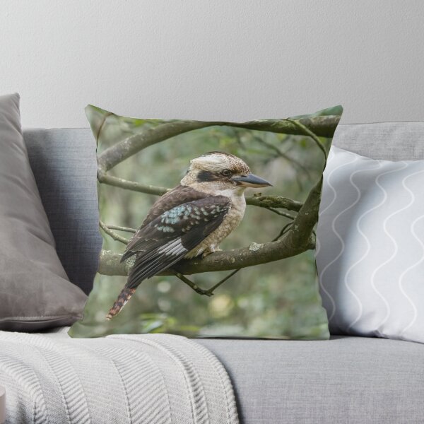 "Grant's Kookaburra" - Australian Bird Gift Throw Pillow