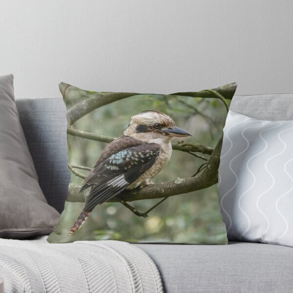 Item preview, "Grant's Kookaburra" - Australian Bird Gift designed and sold by Barry Callister Photography.