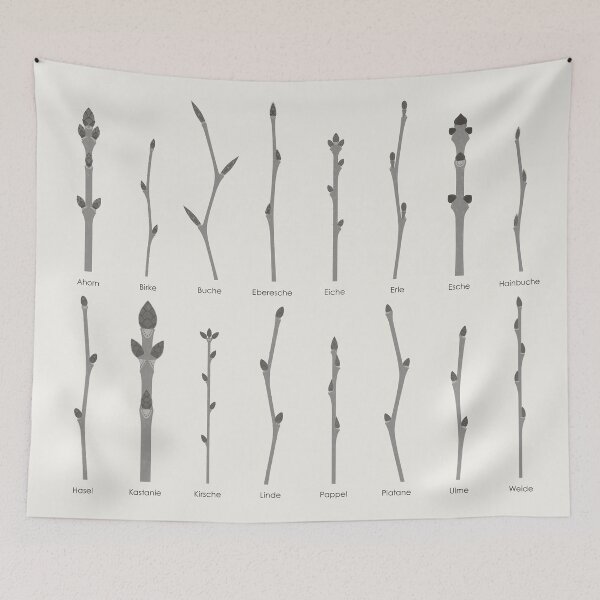 Item preview, Native tree buds and tree shoots infographic / chart (German) designed and sold by Iris Luckhaus.