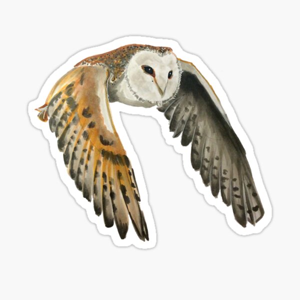 Item preview, Barn Owl designed and sold by pocketsizedquasar ⠀.