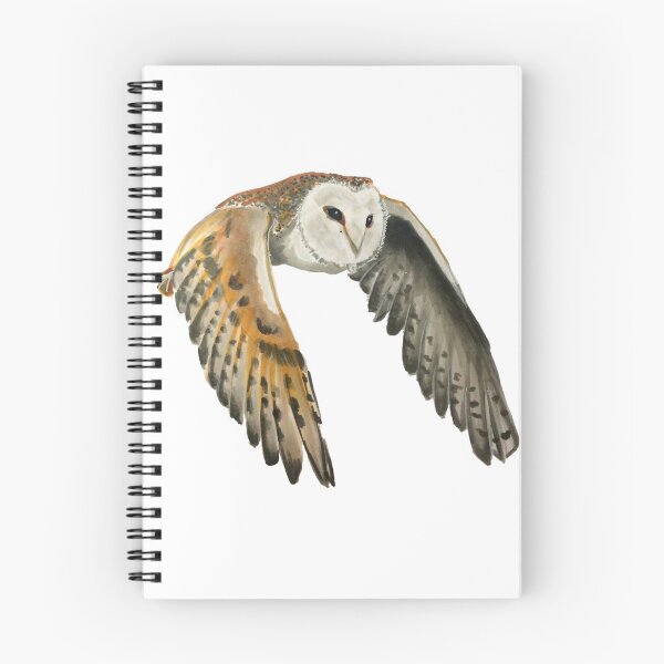 Item preview, Barn Owl designed and sold by pocketsizedquasar ⠀.