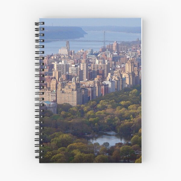 Item preview, New York City Central Park designed and sold by MadLeader.