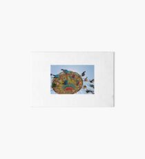 Amusement Art Board