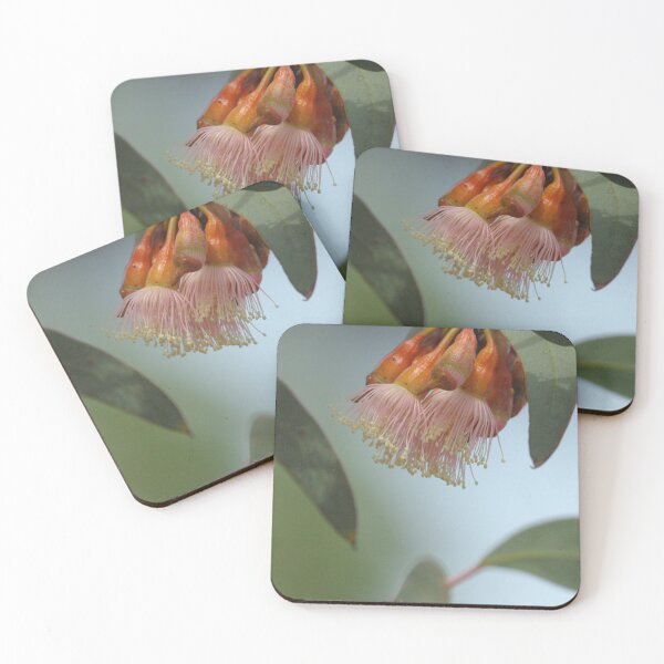 Item preview, Pretty in Pink - Flowering Gum designed and sold by imaginethis.