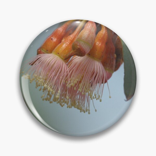 Item preview, Pretty in Pink - Flowering Gum designed and sold by imaginethis.