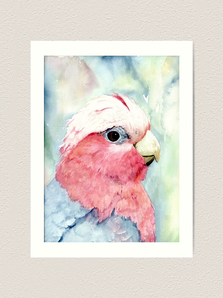 Australia Galah Cockatoo Birds Vintage Australian Travel Poster Advertisement 