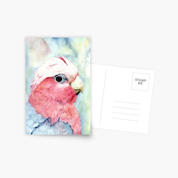 Australian Galah Cockatoo Watercolour Painting Postcard