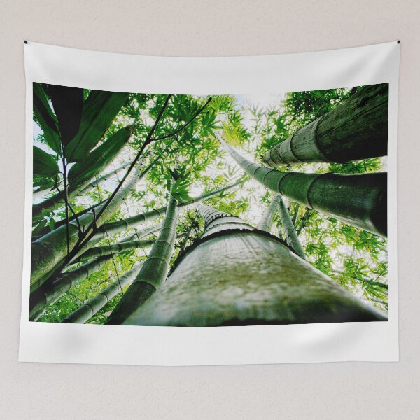 Item preview, Bamboo designed and sold by Nicholas Averre.