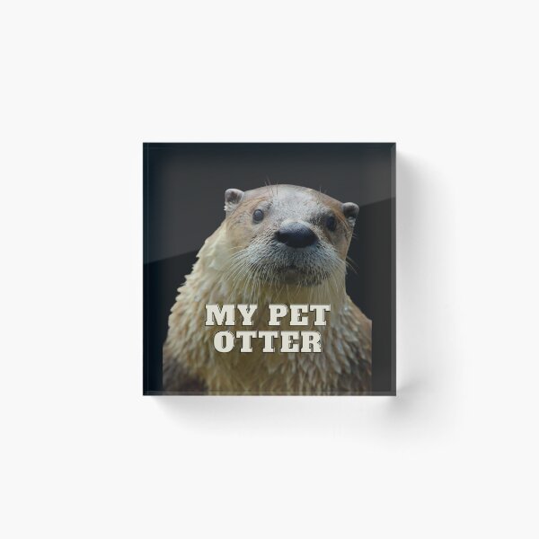 Item preview, My Pet Otter Design designed and sold by MerchGiants.
