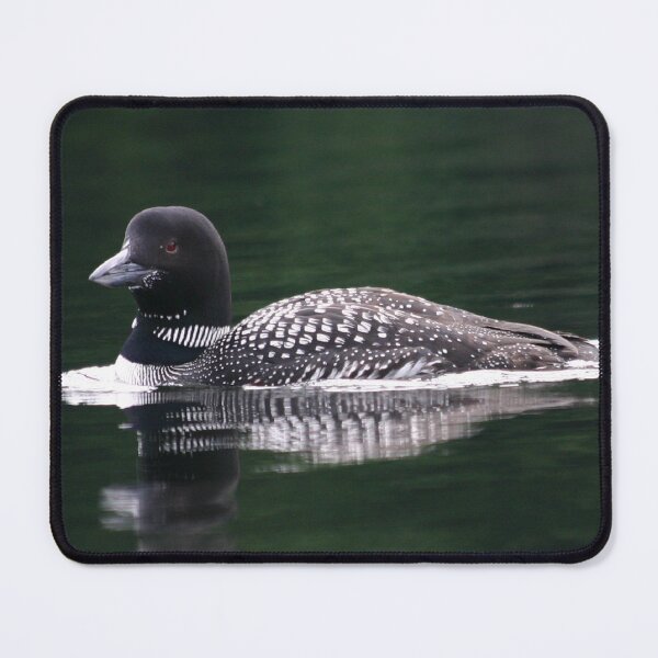 Item preview, Maine Loon  designed and sold by MAINE IMAGESDEZIGNS.