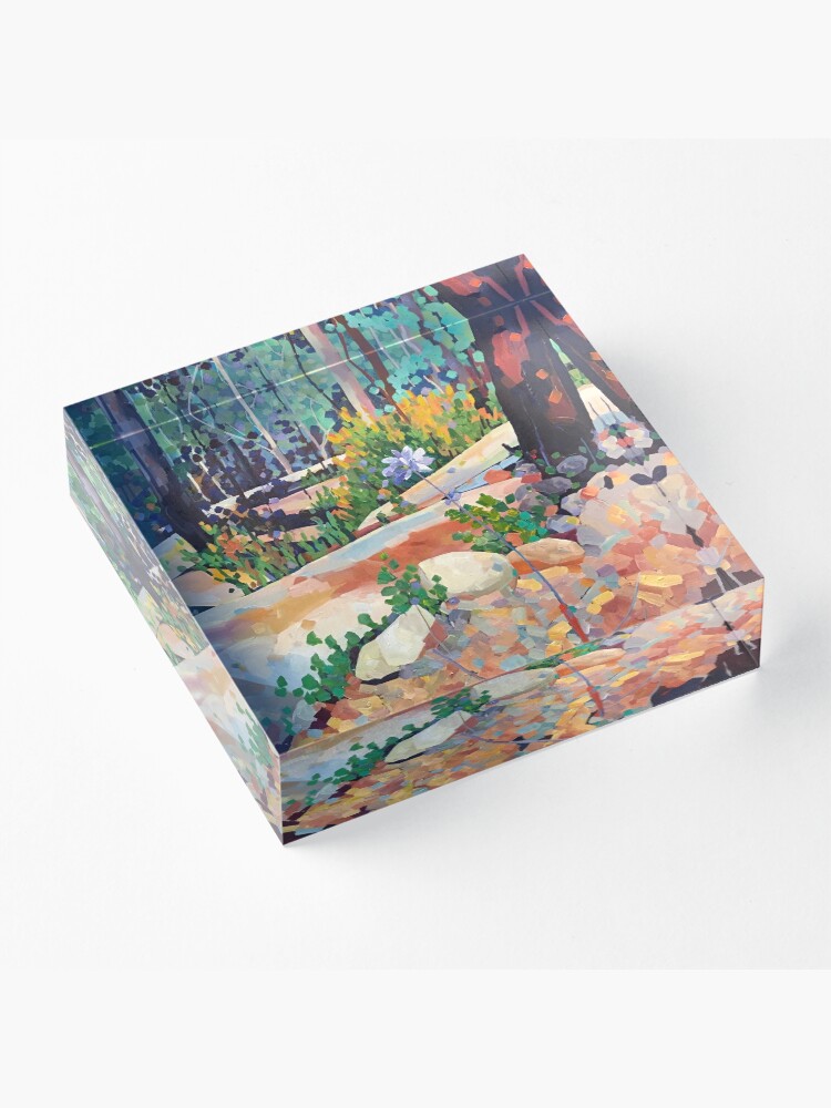 Alternate view of Dscovery Acrylic Block