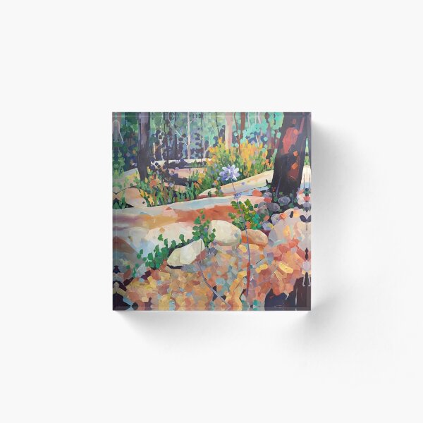 Dscovery Acrylic Block
