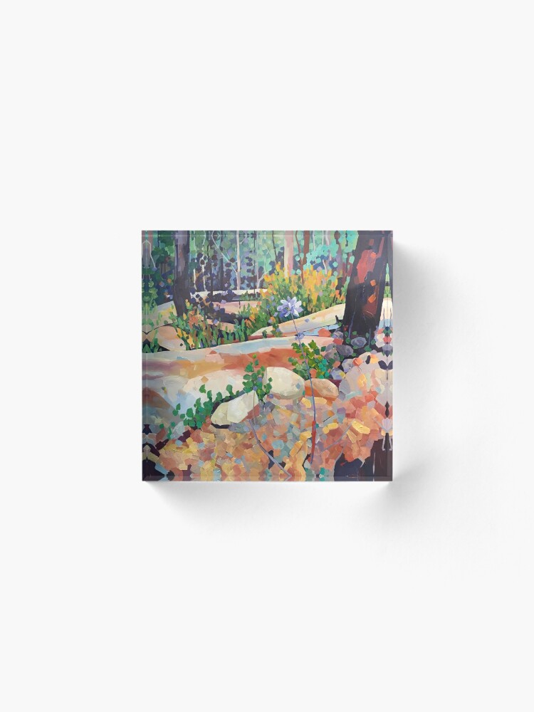 Alternate view of Dscovery Acrylic Block