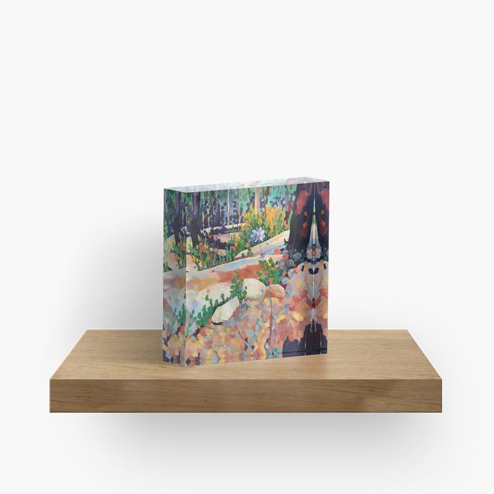Dscovery Acrylic Block