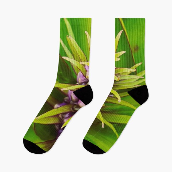 Item preview, Primer plano de hermosa flor de piña púrpura bromelia designed and sold by Printblisshop.