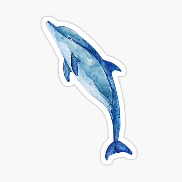 Bottlenose Dolphin Sticker