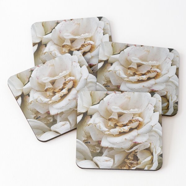 Item preview, Close-up of a beautiful soft decaying white rose  designed and sold by Printblisshop.