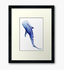 Whale Shark Framed Print