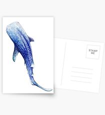 Whale Shark Postcards