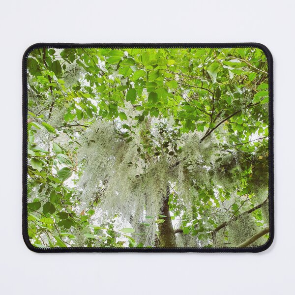 Item preview, Enchanted Beautiful Forest with Spanish Moss designed and sold by Printblisshop.