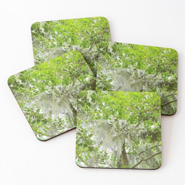 Item preview, Enchanted Beautiful Forest with Spanish Moss designed and sold by Printblisshop.