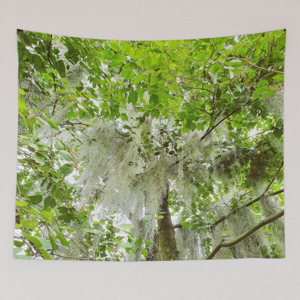 Item preview, Enchanted Beautiful Forest with Spanish Moss designed and sold by Printblisshop.
