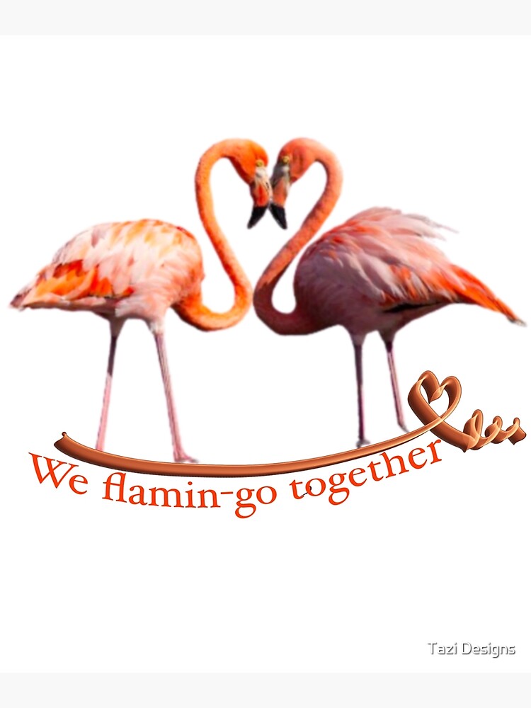 Flamingo Lovers