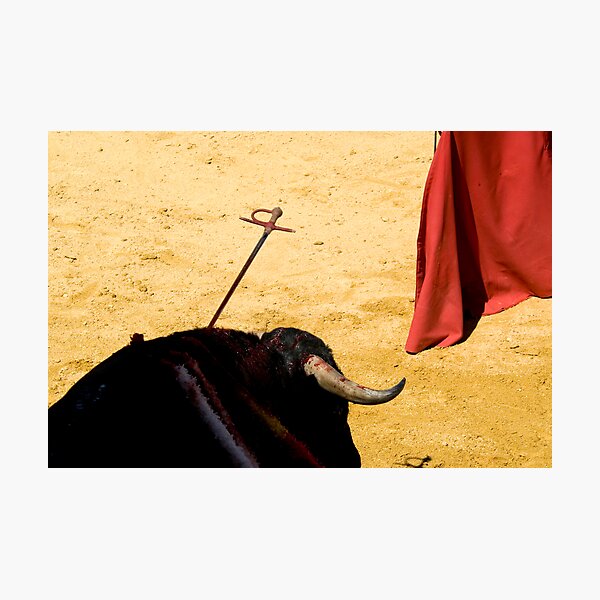 Item preview, Bull, Sword and Muleta. designed and sold by craigto.