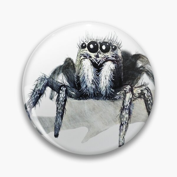Artikelvorschau, Springende Spinne entworfen und verkauft von Amanda Richmond.