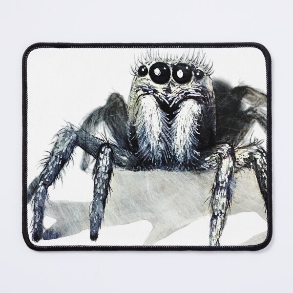 Item preview, Jumping Spider designed and sold by Amanda Richmond.