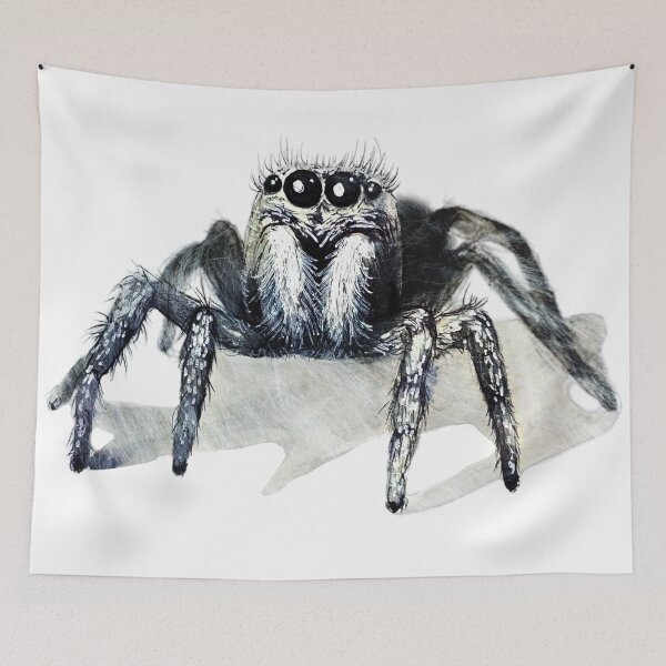 Item preview, Jumping Spider designed and sold by Amanda Richmond.