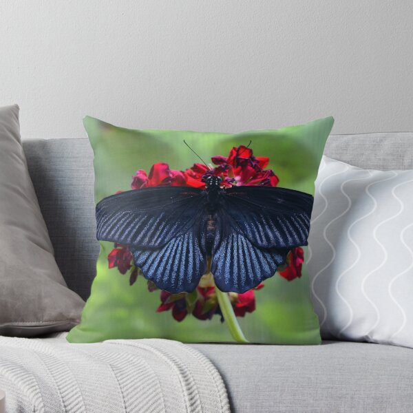 Item preview, Black butterfly on red flower designed and sold by oanaunciuleanu.