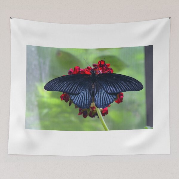 Item preview, Black butterfly on red flower designed and sold by oanaunciuleanu.