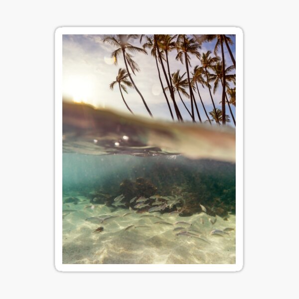 Hawaii Underwater Split View Sticker