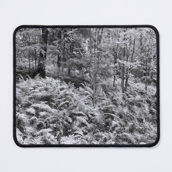 Item preview, Fern jungle bw designed and sold by Jouko Lehto Photography.