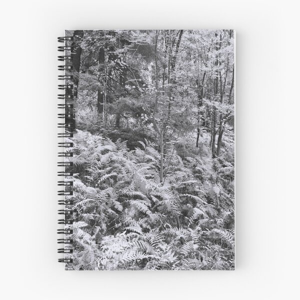Item preview, Fern jungle bw designed and sold by Jouko Lehto Photography.